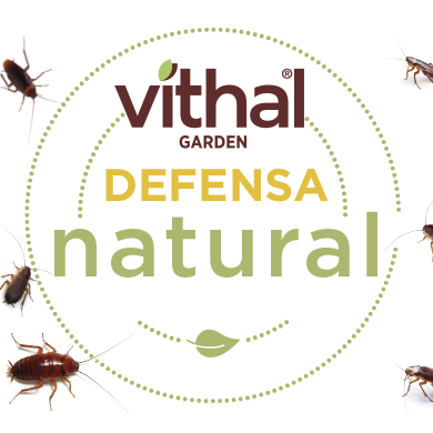 Defensa Natural - Nutrición para plantas - Agosto
