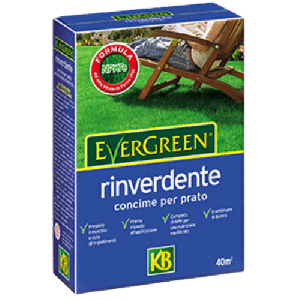 Concime per prato Rinverdente Evergreen 