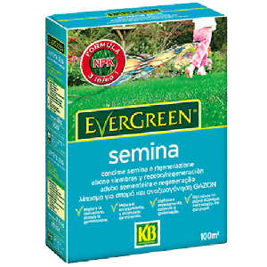 Concime semina e riparazione 2 kg Evergreen