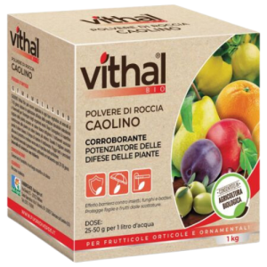Integratore Caolino Vithal Bio