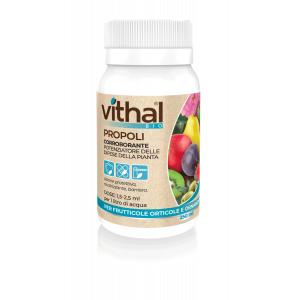 Vithal Bio Propoli 250 ml - Fuori di verde - ItalAgro