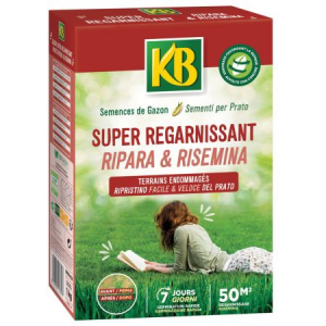 Semi per prato Ripara & Risemina KB