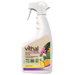 Integratore Rame e Zolfo Plus Vithal Bio