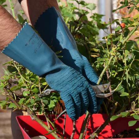 SAWANS Guanti da Giardinaggio in Pelle da Donna e da Uomo | FindTheDeal