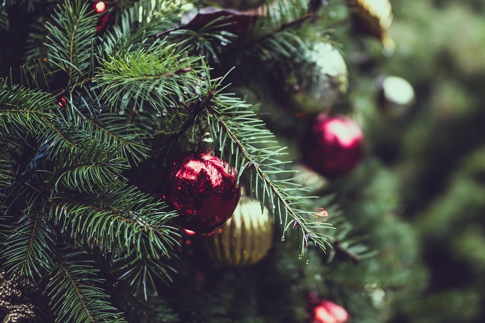 Come gestire un albero di Natale vero dopo le feste
