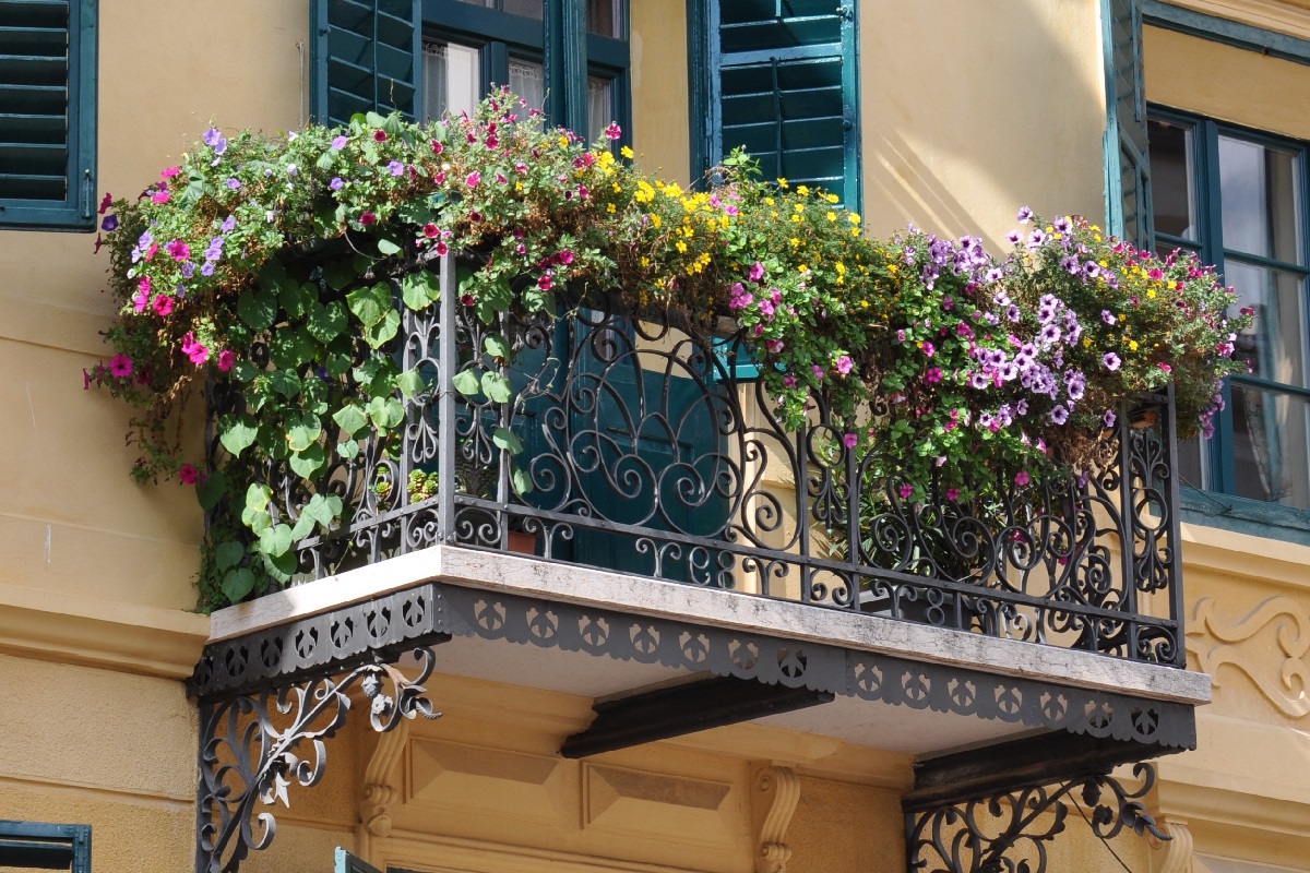 Fioriture primaverili