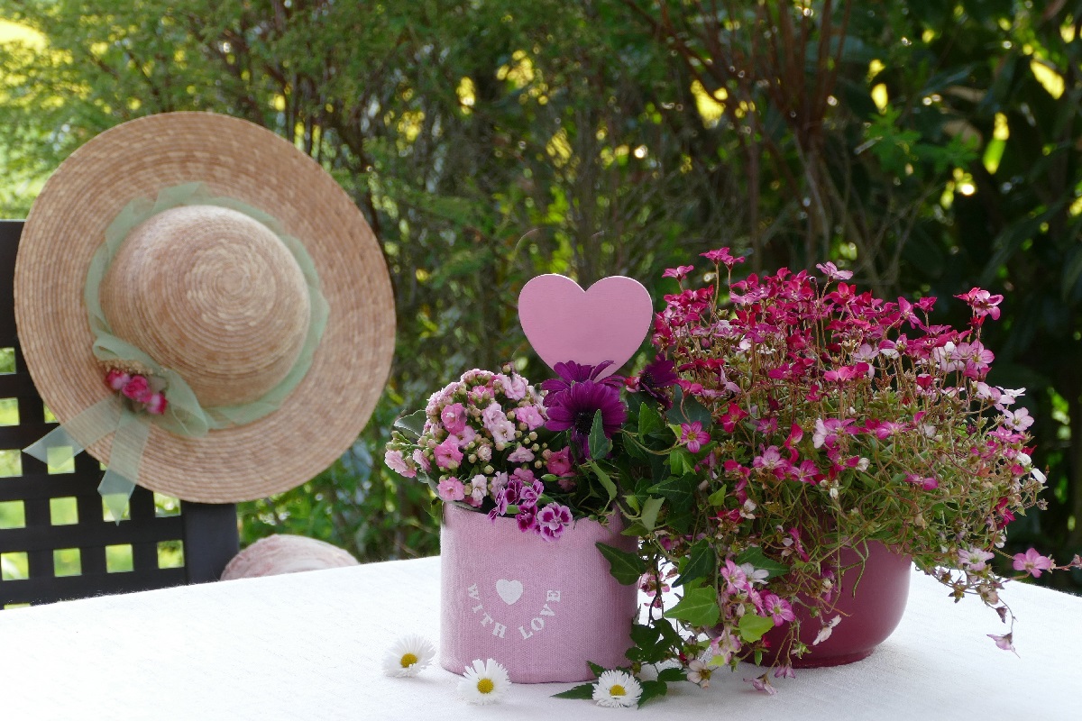 Piante per la Festa della Mamma