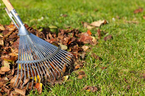 National Garden Month, Getting Your Garden Ready for the Summer Months