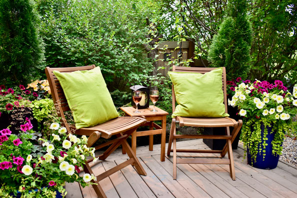 Our Top Tips for your Spring and Summer Garden