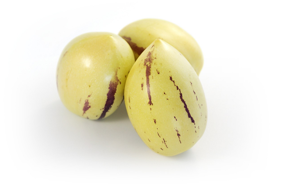 Solanum muricatum