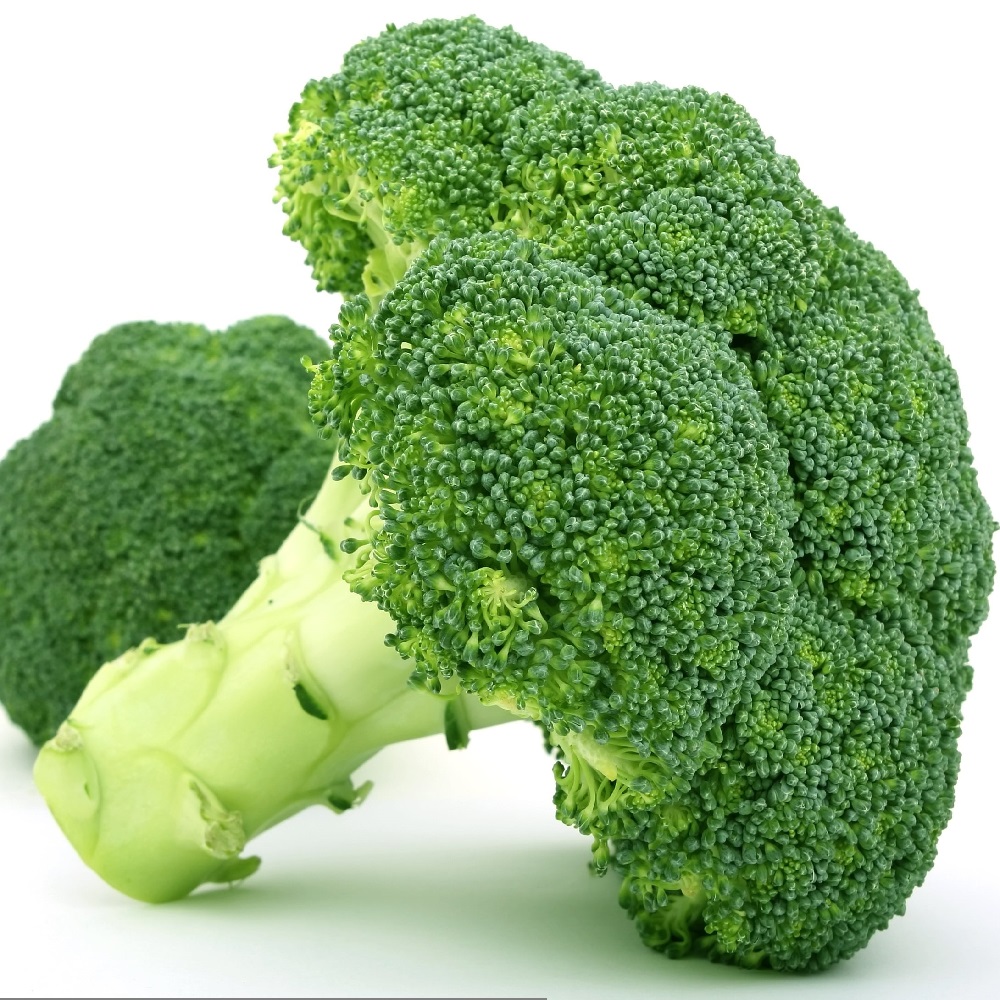 coltivare i Cavoli - Broccoli