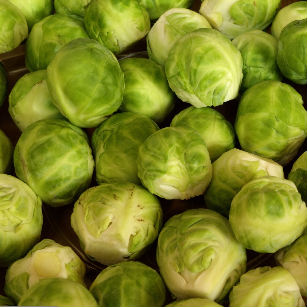 coltivare i Cavoli - Cavolini di Bruxelless