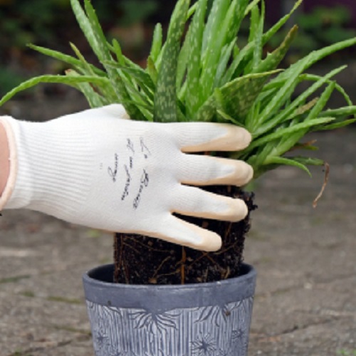 scegliere i guanti per il giardinaggio - lattice naturale