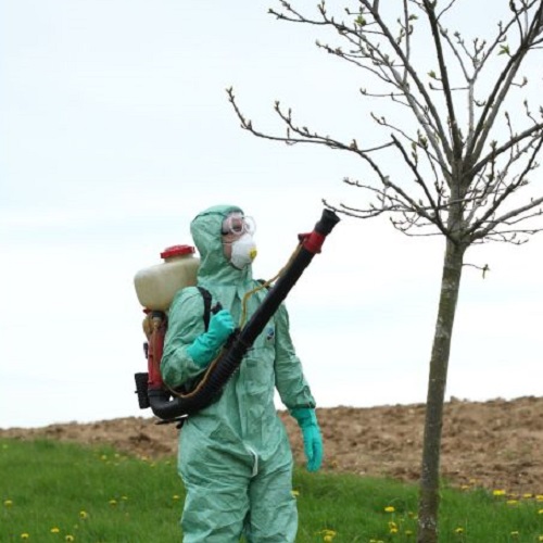 scegliere i guanti per il giardinaggio - nitrile